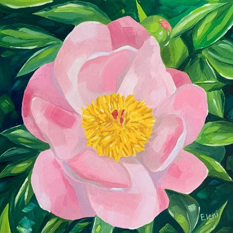 Peony